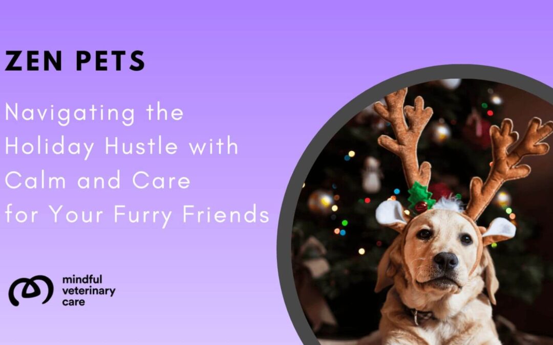 Zen Pets: Navigating the Holiday Hustle with Calm and Care for Your Furry Friends