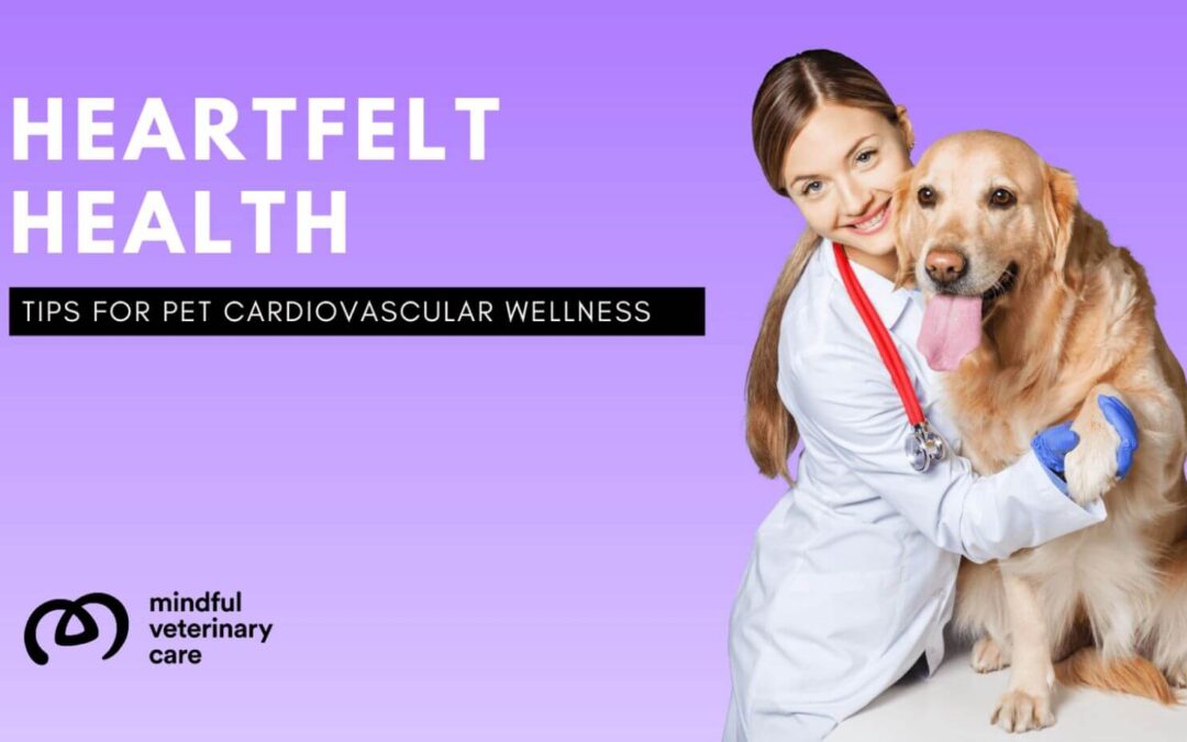 Heartfelt Health: Unveiling the Secrets to Pet Cardiovascular Wellness in February