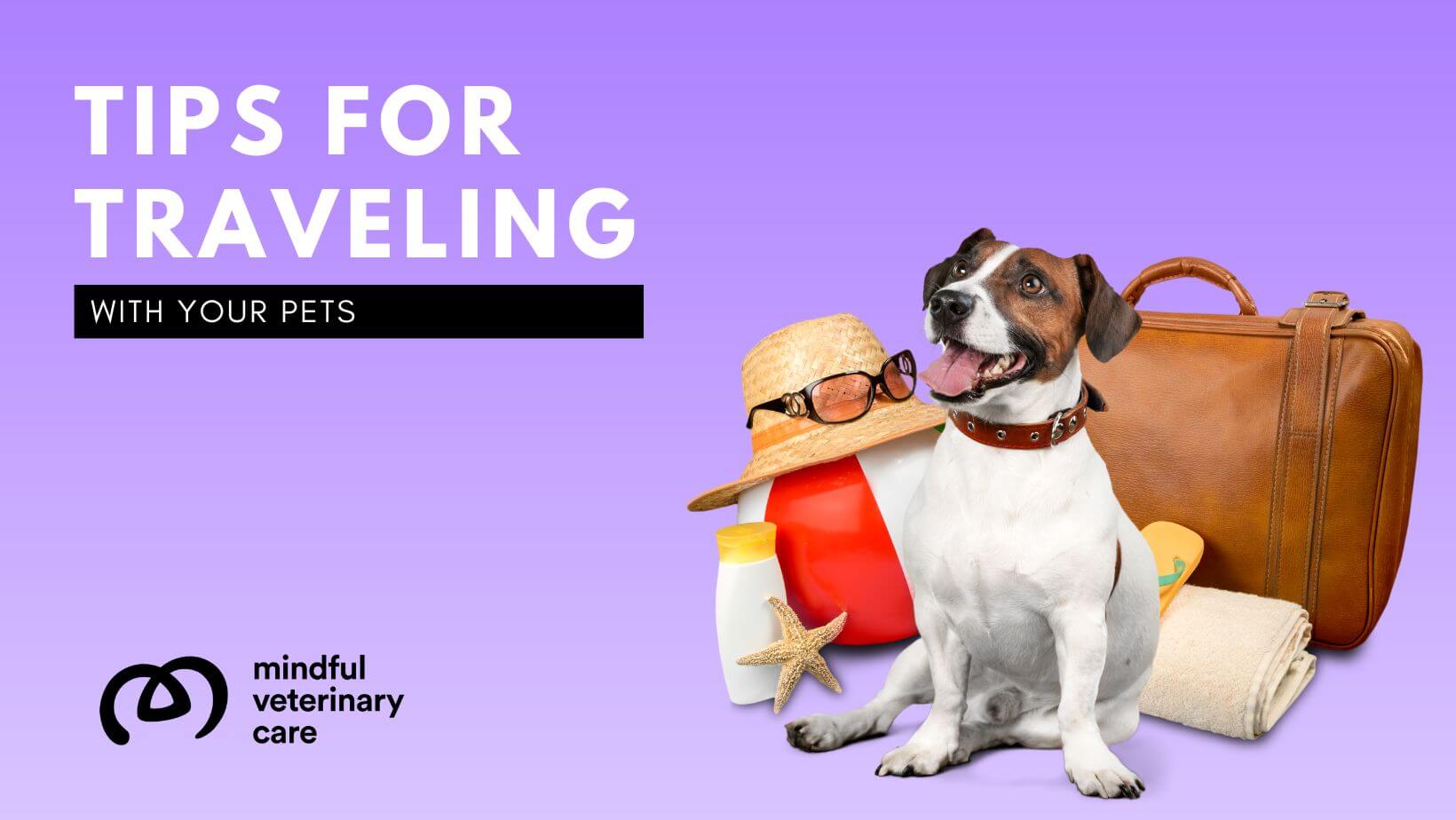 Tips For Traveling With Your Pets | Mindful Veterinary Care | Mindful ...