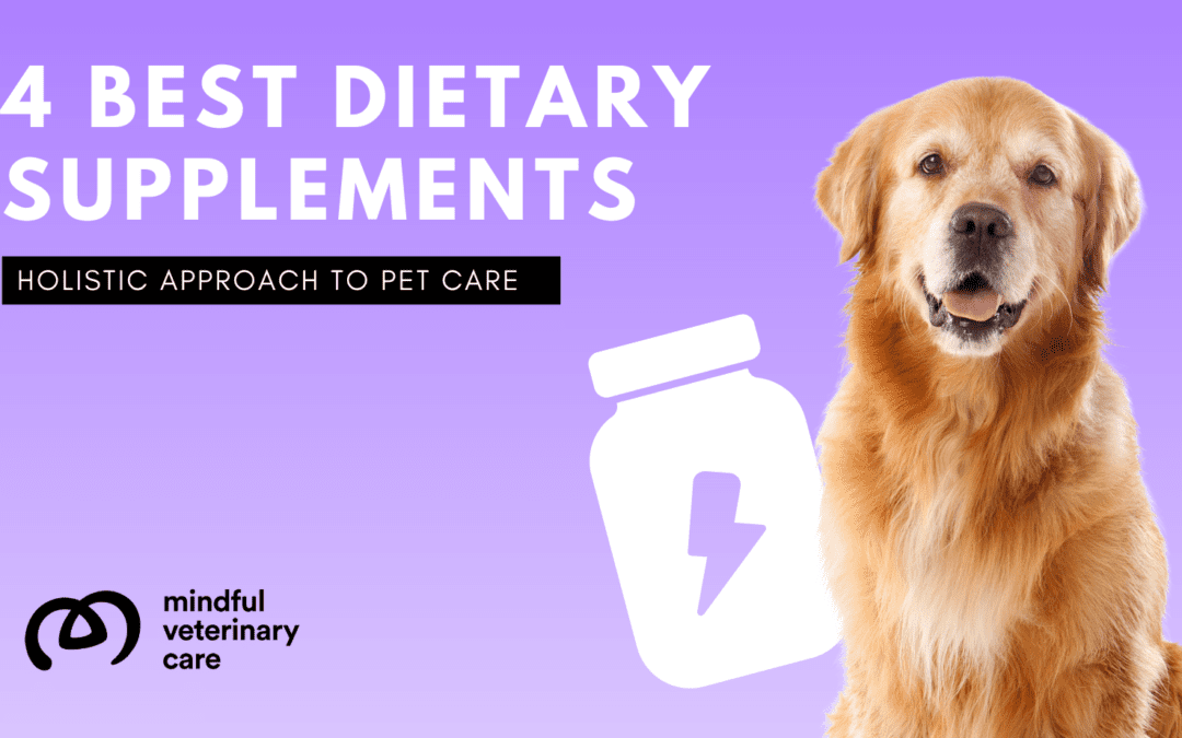 4 Best Dietary Supplements for Your Dog: Boost Their Health Naturally